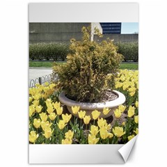 Columbus Commons Yellow Tulips Canvas 12  X 18  by Riverwoman