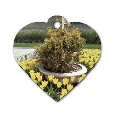 Columbus Commons Yellow Tulips Dog Tag Heart (two Sides) by Riverwoman