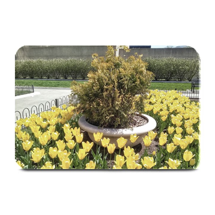 Columbus Commons yellow tulips Plate Mats