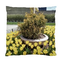 Columbus Commons Yellow Tulips Standard Cushion Case (one Side) by Riverwoman