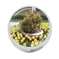 Columbus Commons Yellow Tulips 4-port Usb Hub (two Sides) by Riverwoman