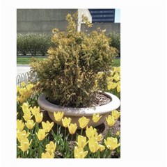 Columbus Commons Yellow Tulips Small Garden Flag (two Sides) by Riverwoman