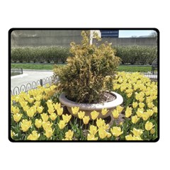 Columbus Commons Yellow Tulips Double Sided Fleece Blanket (small)  by Riverwoman