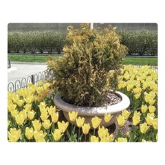 Columbus Commons Yellow Tulips Double Sided Flano Blanket (large)  by Riverwoman