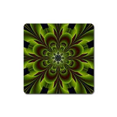 Abstract Flower Artwork Art Floral Green Square Magnet by Sudhe