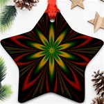 Fractal Artwork Idea Allegory Art Ornament (Star) Front