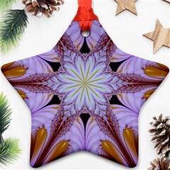 Abstract Flower Artwork Art Ornament (star) by Pakrebo