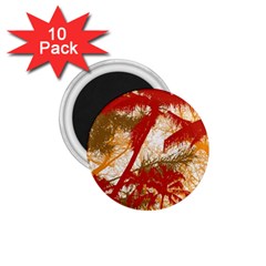 Into The Forest Paradise 1 75  Magnets (10 Pack)  by impacteesstreetweartwo