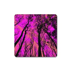 Into The Forest 2 Square Magnet by impacteesstreetweartwo