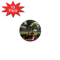 Columbus Commons In Late May  1  Mini Magnet (10 Pack)  by Riverwoman