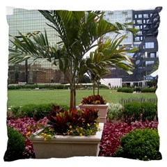 Columbus Commons In Late May  Large Cushion Case (two Sides) by Riverwoman