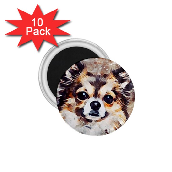 Chihuahua Dog Cute Pets Small 1.75  Magnets (10 pack) 