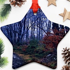 Forest Beeches Way Winter Snow Ornament (star) by Wegoenart