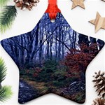 Forest Beeches Way Winter Snow Ornament (Star) Front