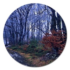 Forest Beeches Way Winter Snow Magnet 5  (round) by Wegoenart