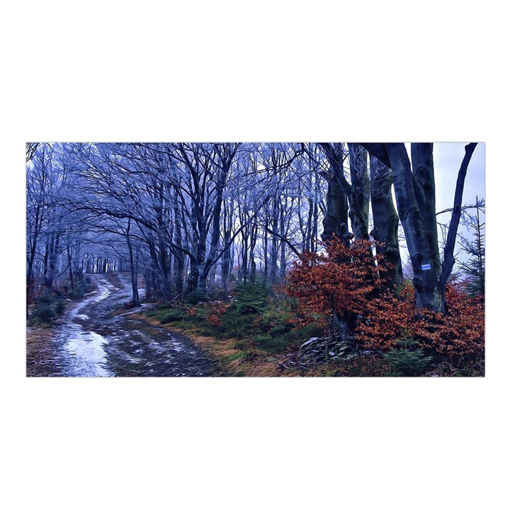 Forest Beeches Way Winter Snow Satin Shawl