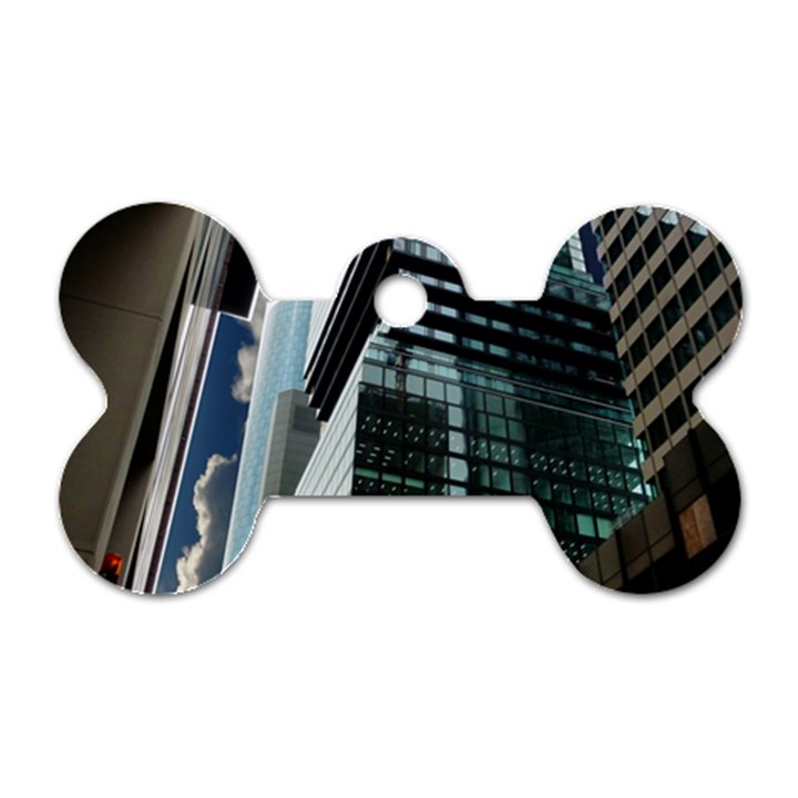 Architecture Frankfurt Reflection Dog Tag Bone (Two Sides)