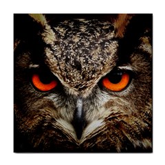 Owl Bird Eyes Eagle Owl Birds Tile Coasters by Wegoenart