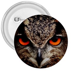 Owl Bird Eyes Eagle Owl Birds 3  Buttons by Wegoenart