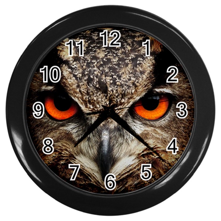 Owl Bird Eyes Eagle Owl Birds Wall Clock (Black)