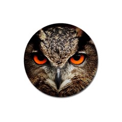 Owl Bird Eyes Eagle Owl Birds Magnet 3  (round) by Wegoenart