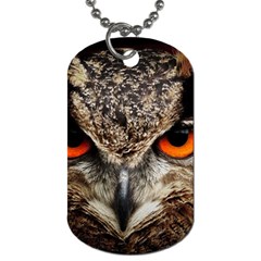 Owl Bird Eyes Eagle Owl Birds Dog Tag (one Side) by Wegoenart