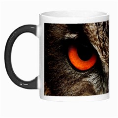 Owl Bird Eyes Eagle Owl Birds Morph Mugs by Wegoenart