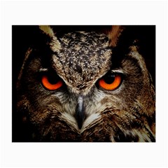 Owl Bird Eyes Eagle Owl Birds Small Glasses Cloth by Wegoenart