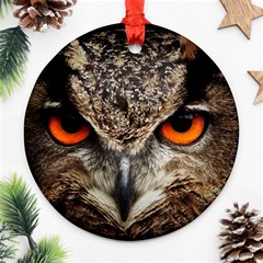 Owl Bird Eyes Eagle Owl Birds Round Ornament (two Sides) by Wegoenart