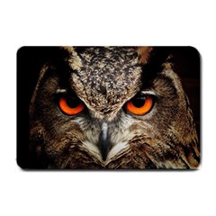 Owl Bird Eyes Eagle Owl Birds Small Doormat  by Wegoenart