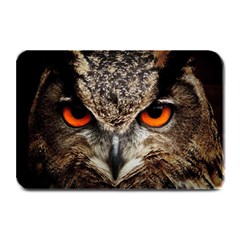 Owl Bird Eyes Eagle Owl Birds Plate Mats by Wegoenart