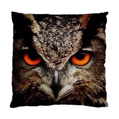 Owl Bird Eyes Eagle Owl Birds Standard Cushion Case (two Sides) by Wegoenart