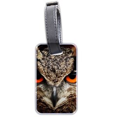 Owl Bird Eyes Eagle Owl Birds Luggage Tag (two Sides) by Wegoenart