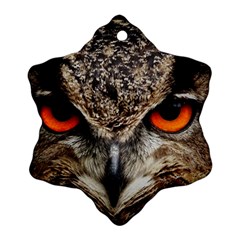 Owl Bird Eyes Eagle Owl Birds Snowflake Ornament (two Sides) by Wegoenart