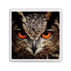 Owl Bird Eyes Eagle Owl Birds Memory Card Reader (square) by Wegoenart