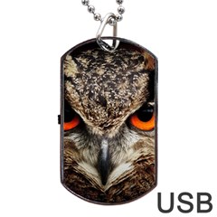 Owl Bird Eyes Eagle Owl Birds Dog Tag Usb Flash (one Side) by Wegoenart