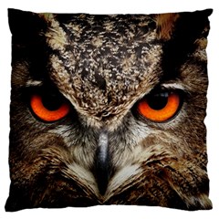 Owl Bird Eyes Eagle Owl Birds Large Cushion Case (one Side) by Wegoenart