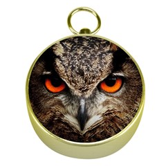 Owl Bird Eyes Eagle Owl Birds Gold Compasses by Wegoenart