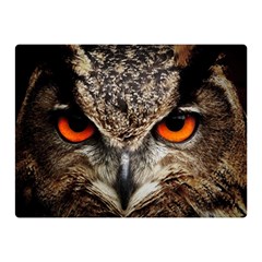 Owl Bird Eyes Eagle Owl Birds Double Sided Flano Blanket (mini)  by Wegoenart