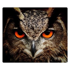 Owl Bird Eyes Eagle Owl Birds Double Sided Flano Blanket (small)  by Wegoenart