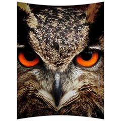 Owl Bird Eyes Eagle Owl Birds Back Support Cushion by Wegoenart