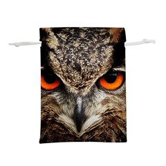 Owl Bird Eyes Eagle Owl Birds Lightweight Drawstring Pouch (l)