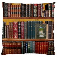 Books Library Bookshelf Bookshop Large Cushion Case (one Side) by Wegoenart