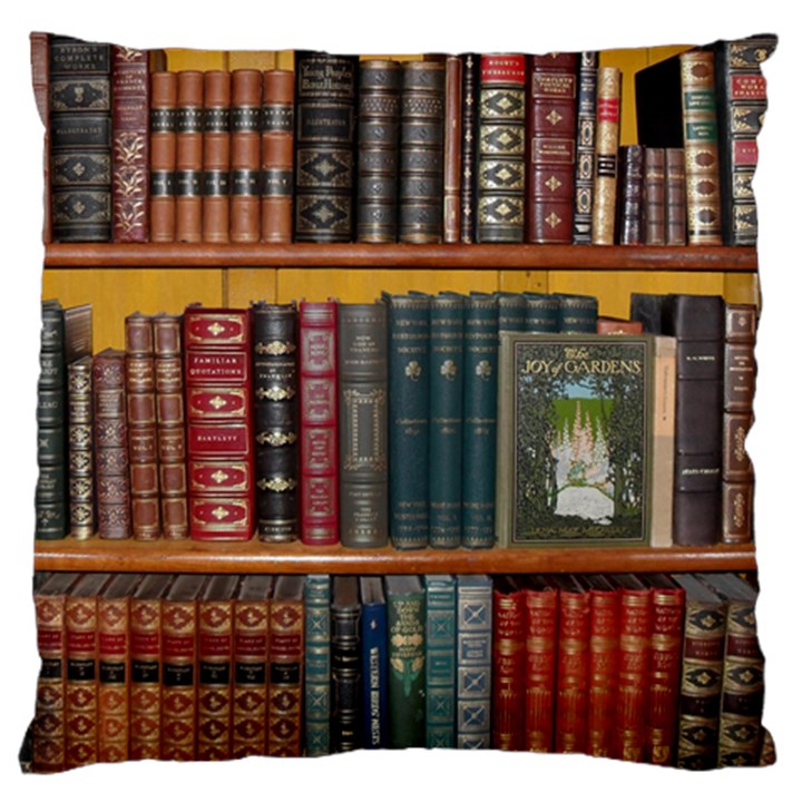 Books Library Bookshelf Bookshop Large Cushion Case (One Side)