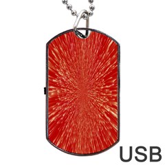 Rays Pattern Center Abstract Red White Dog Tag Usb Flash (two Sides) by Wegoenart