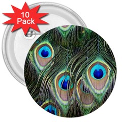 Peacock Feathers Peacock Bird 3  Buttons (10 Pack)  by Wegoenart