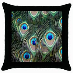 Peacock Feathers Peacock Bird Throw Pillow Case (Black)