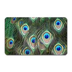 Peacock Feathers Peacock Bird Magnet (rectangular) by Wegoenart