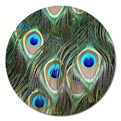 Peacock Feathers Peacock Bird Magnet 5  (round) by Wegoenart