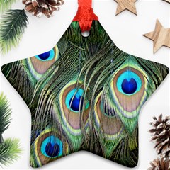 Peacock Feathers Peacock Bird Star Ornament (Two Sides)